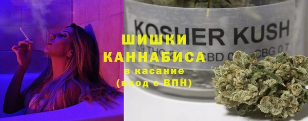 сатива Богданович