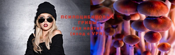 сатива Богданович