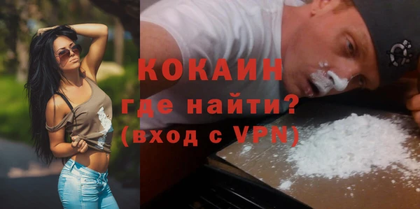 mdpv Богородицк