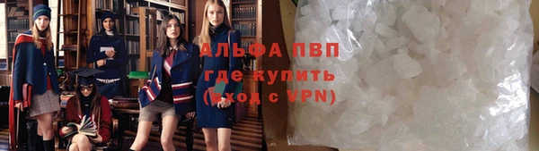 сатива Богданович