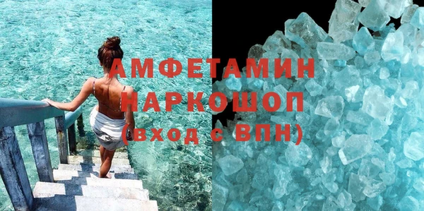 прущие грибы Беломорск