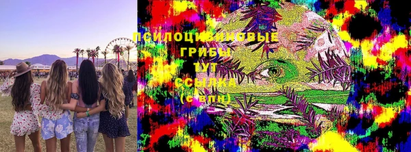 mdpv Богородицк