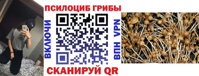 OMG зеркало Княгинино Галлюциногенные грибы мухоморы